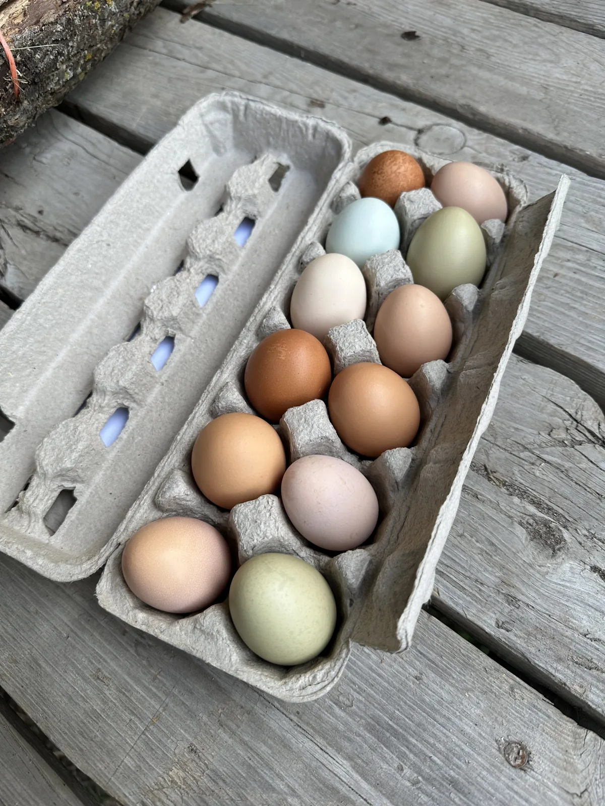 A carton of blue, green, and brown pasture-raised eggs