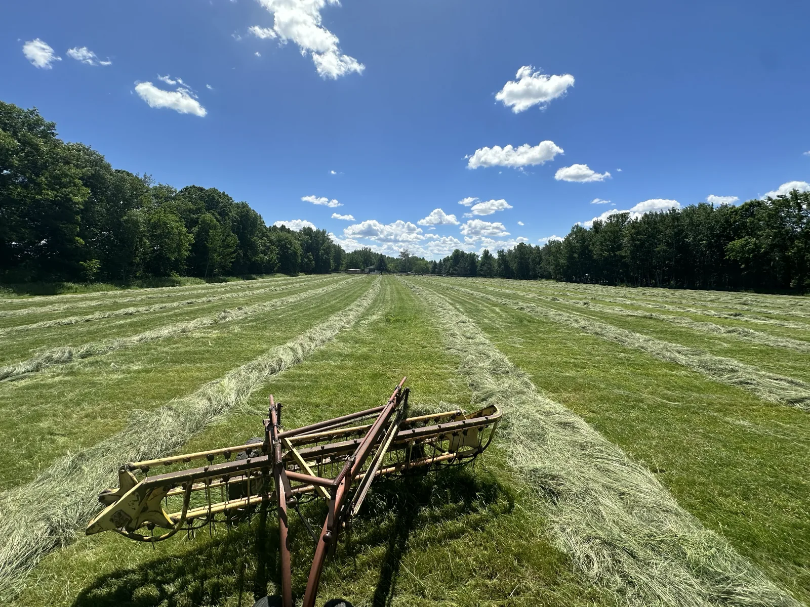 An old dump rake sitting in a freshly cut hay field
